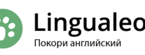 Logo doesn't exist